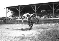 [Unidentified Cowboy leaving head-first toward the trash-covered arena floor over bronc's head]