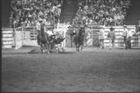 Wade Wilson Steer wrestling