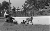 Howard Malm Calf roping