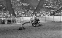 Larry Snyder Calf roping
