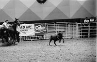 Jeff Green Calf roping