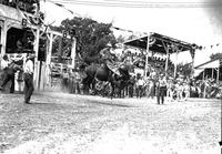 Fritz Truan on "High Test" Sidney Iowa Rodeo