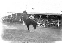 [Unidentified Cowboy leaving Bronc rear-end first over bronc's neck]