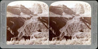 Angel's Gateway and Newberry Terrace, from across the Colorado River, Grand Canyon of Arizona