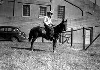 [Unidentified cowboy on Pinto horse]