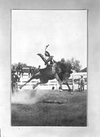 [Copy of photograph of unidentified cowboy being thrown from bronc "Firefly"]