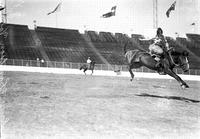 [Claire Thompson in wooly chaps riding bronc]