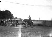 Peggy Long "Country Butter" Ardmore Rodeo