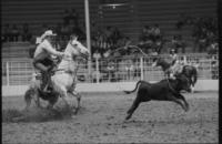 Steve Schultz Calf roping