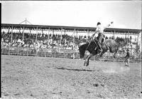[A hatless Eddie Cameron riding his airborne mount "Walter Winchell"]