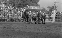 Dale Denton Steer wrestling