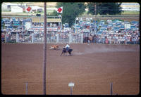 Don McLaughlin Steer roping