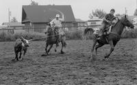 Unidentified Team ropers