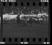 Chris Lybbert Steer wrestling