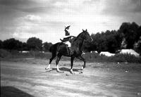 [Unidentified woman in English riding costume riding horse]