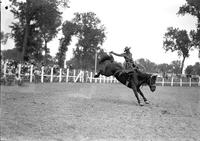 [Unidentified Cowboy riding bronc]