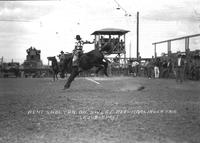 Rene Shelton on "Sweet Peas" Harlingen Fair