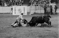 Rodeo clown Jerry Don Galloway Bull fighting