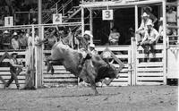 Shawn Legpos on Bull #44