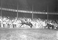 [Unidentified Cowgirl atop a leaping bronc in arena]