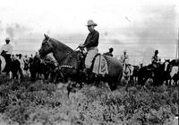 [Possibly Everett Colborn on horse with silver mounted tack, corona style pad]