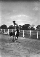 Florence Randolph Lady Champion Trick Rider