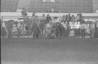 Al Heimer Steer wrestling