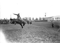 [Unidentified Cowboy riding bronc]