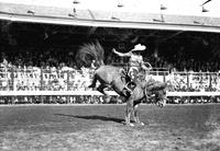 [Possibly Vaughn Krieg bronc riding in front of grandstand]