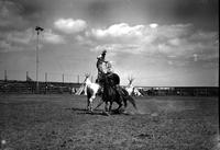 [Unidentified Cowboy standing atop stationary horse throwing rope loop over passing rider]