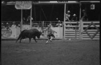 Rodeo clown Leon Coffee Bull fighting