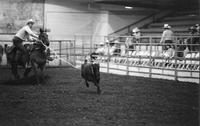 Arnold Hart Calf roping