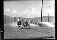 Jerry La Pan Steer Wrestling