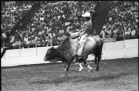 Dennis Humphrey on Bull #337