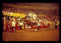 Rusty Riddle on Moon Rocket