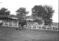 [Unidentified Cowboy on his back in the dirt as bronc kicks away from him]