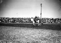 [Unidentified Cowgirl doing Back Drag off galloping horse in front of grandstand]