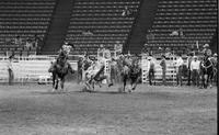 Matt Wynn Steer wrestling