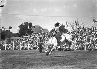 [Viola Clemmons riding a bronc]