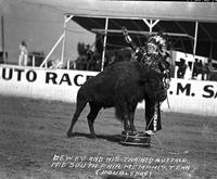 Dewey and his trained Buffalo Mid South Fair Memphis, Tenn.