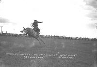 Shirley Hussey on "Grey Wolf" Wolf Point Stampede