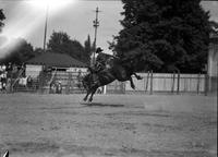 [Unidentified Cowboy on airborne bronc]