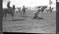 Vic Matney Calf Roping