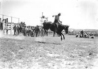 [Unidentified Cowboy riding bronc]