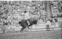 Tom Peterson on Chico