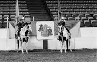 Cowgirls on horseback with Flags