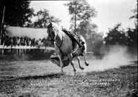 Lucyle Roberts Trick Riding, Geo Adams Rodeo