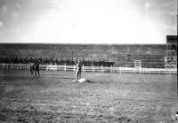 [Stationary horse to left, unidentified cowboy with hands raised above head to right standing calf]