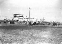 [Unidentified cowboy wrestling steer]