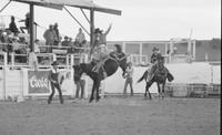 Monty Henson on High Prairie